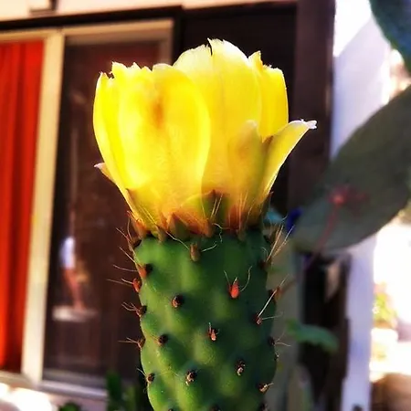 Mare 住宿加早餐酒店 3*