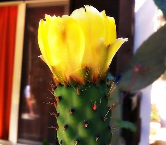 Mare Bed and breakfast 3*